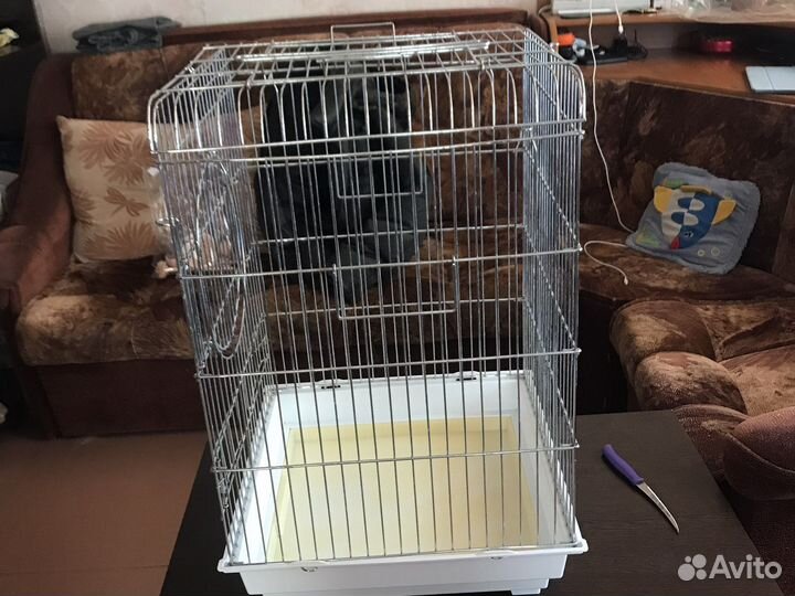 Клетка для попугая