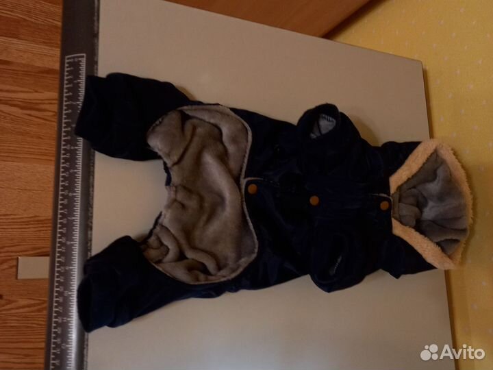 Одежда для собак