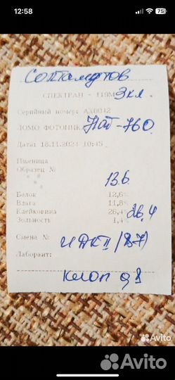 Зерно пшеница