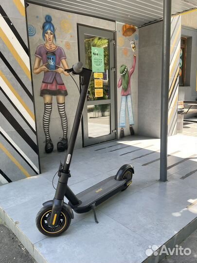 Электросамокат ninebot max g30p