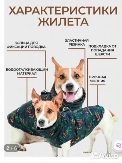 Жилет для собак