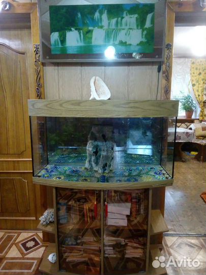 Аквариум