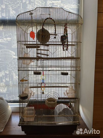 Клетка для птиц