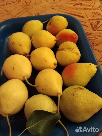 Клубника малина