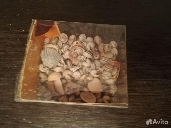 Ракушки, раковины, камни морские
