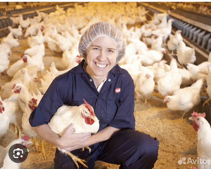 Оператор птицефабрика вахта Брянск