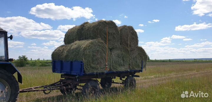 Сено в рулонах 2023