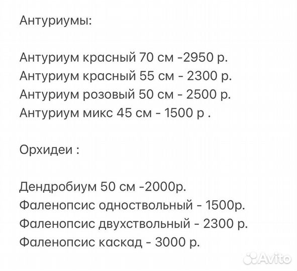 Комнатные цветы