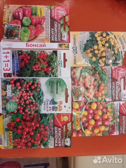 Рассада помидор черри, можно выращивать на окне