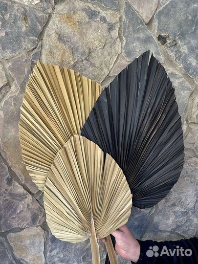 Пальмовые листья