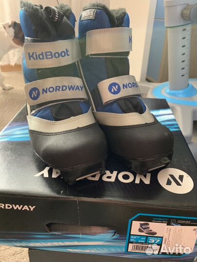 Лыжные ботинки