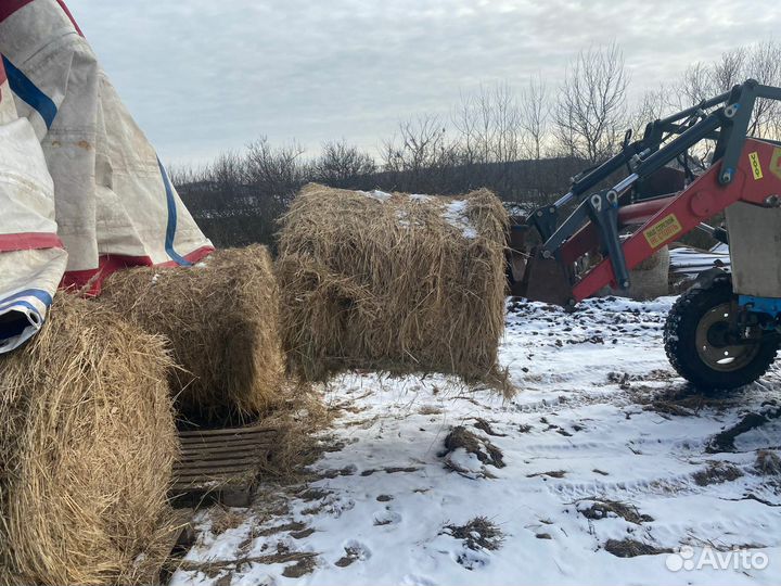 Продажа сено