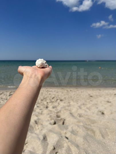 Участок 8,4 сот. (ИЖС)