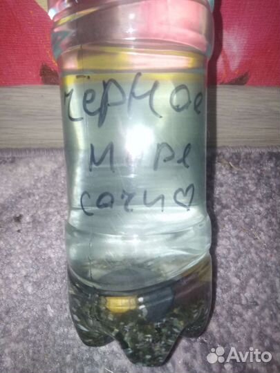 Сувенир с Черного моря