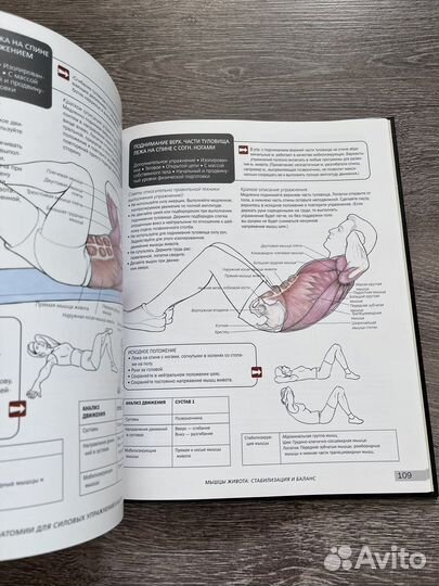 Атлас анатомии для силовых упражнений и фитнеса