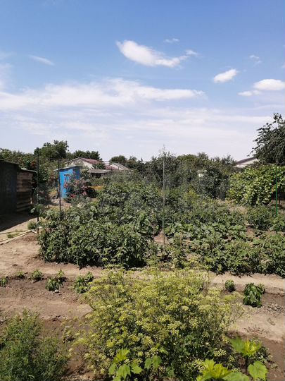 Коттедж 99,6 м² на участке 12 га