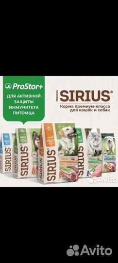 Сухой корм для собак и кошек