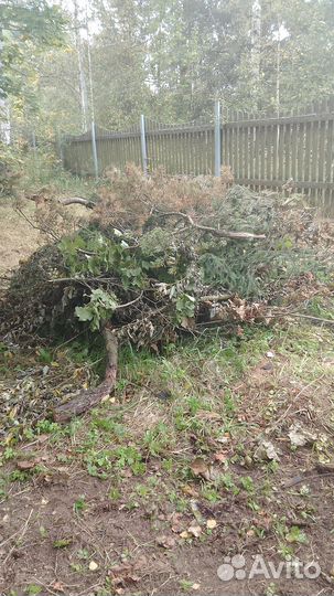 Утилизируем ветки