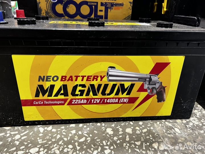 Аккумуляторы Magnum 225А Доставка