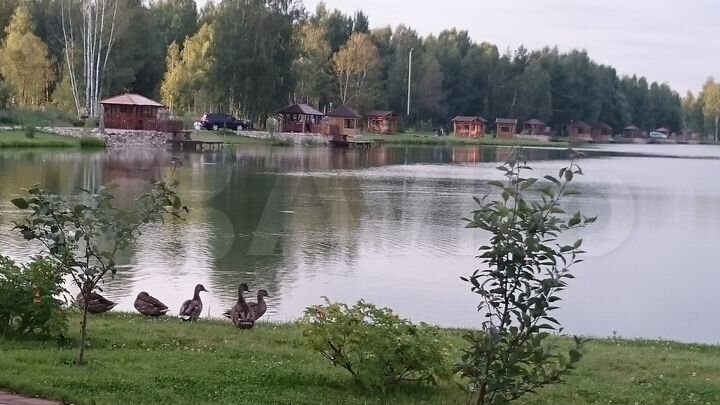 Участок 2,5 га (СНТ, ДНП)