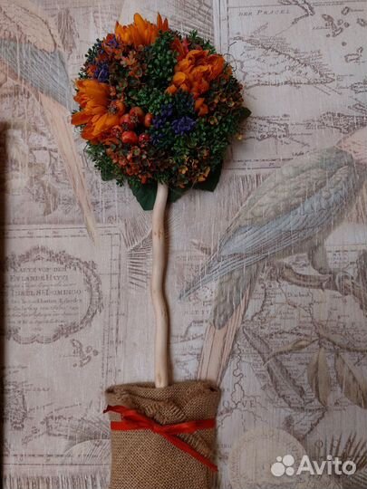 Топиарий настенный