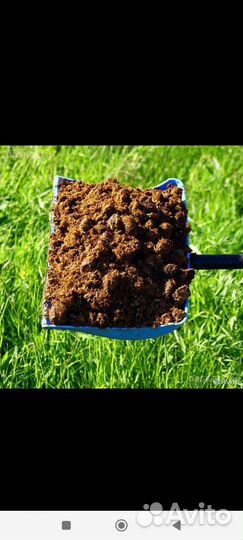 Продаю конский навоз