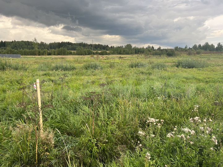 Участок 6 сот. (СНТ, ДНП)