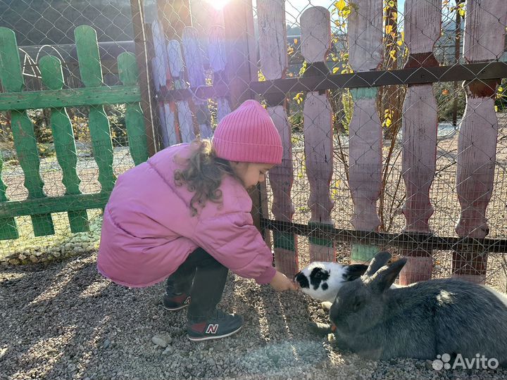 Бомбер для девочки zara 98