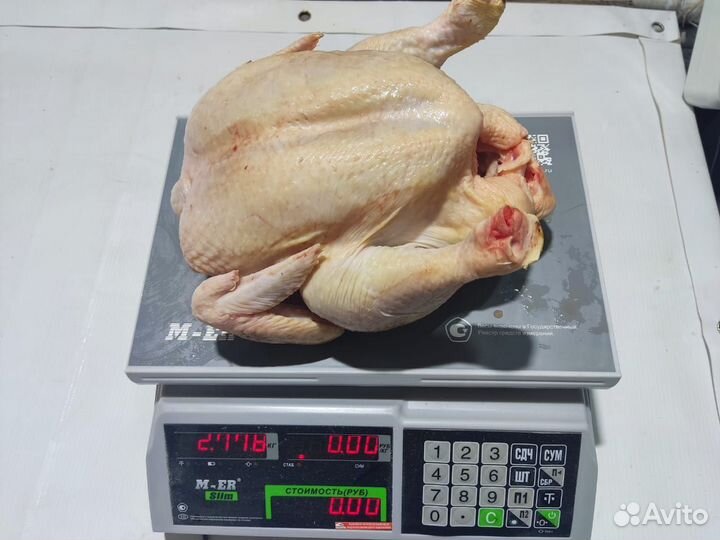 Мясо домашнего бройлера