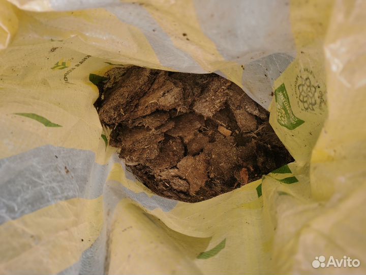 Птичий помет