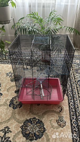 Клетка для хомяка с вкусняшками