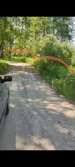 Участок 1,6 га (СНТ, ДНП)