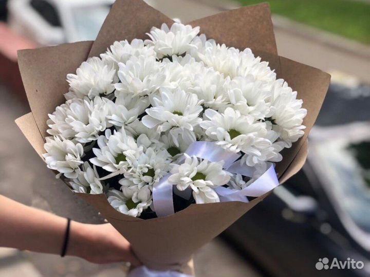 Хризантема, кустовая 70см, цветы, букеты