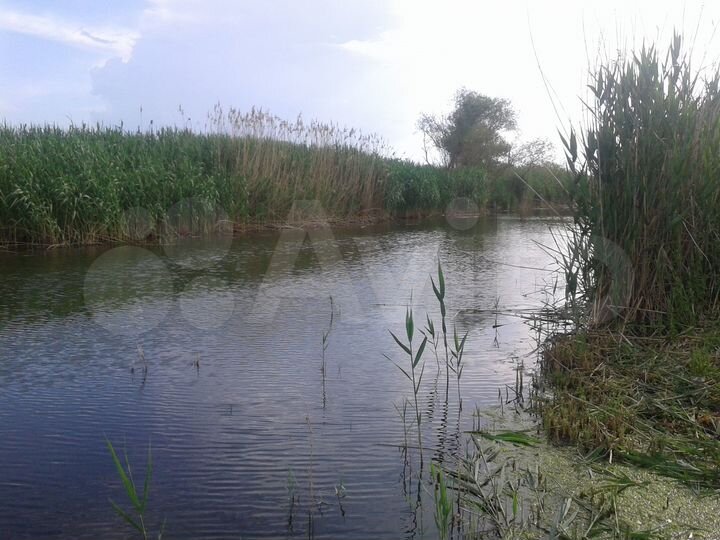 Дом 38 м² на участке 19,5 сот.