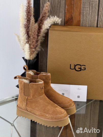 Ботинки Ugg женские зимние