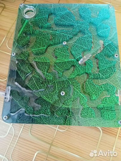 Муравьинная ферма