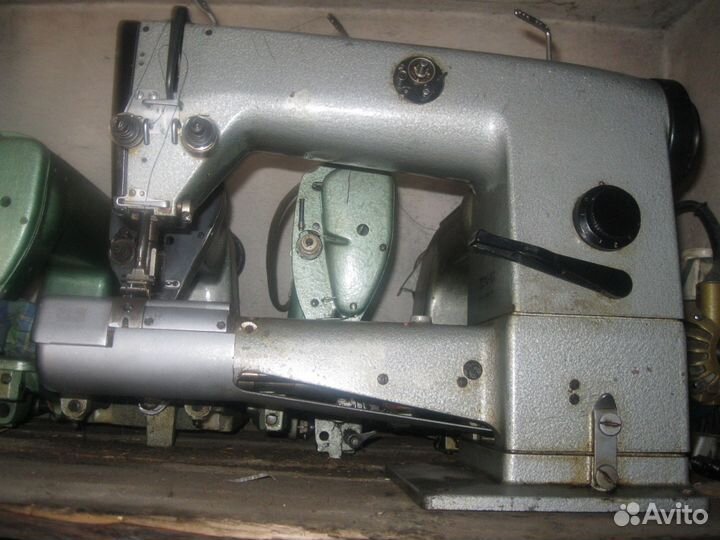 Минерва, minerva