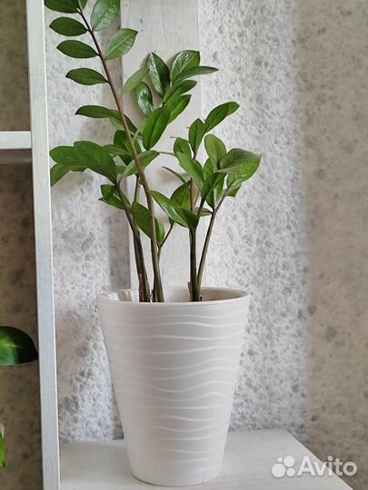 Горшок для цветов