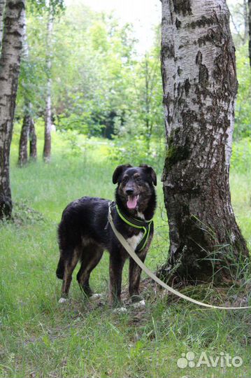 Дикуша Ляля всего боится