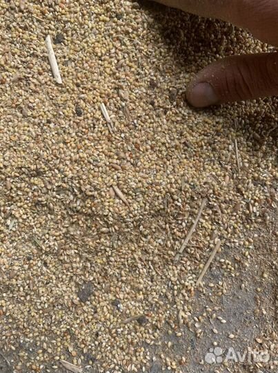 Отходы от проса