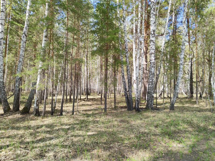 Участок 67 сот. (СНТ, ДНП)