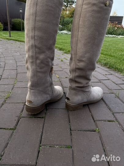 Сапоги Gerzedo