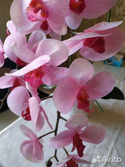 Орхидея искусственная