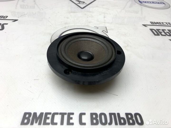 Колонка динамик аудио двери Range Rover L322