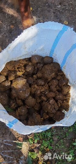 Конский навоз