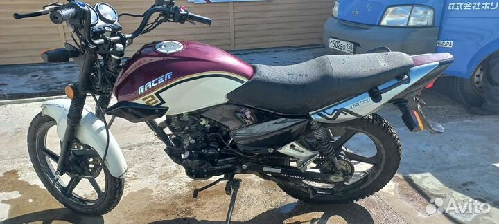 Raser tiger 150 23