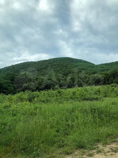 Участок 20 сот. (ИЖС)