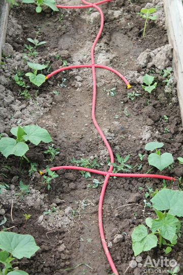 Набор капельного полива