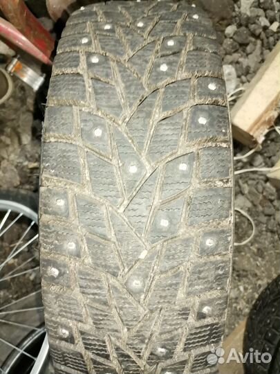 Dunlop Winter Maxx 175/70 R13