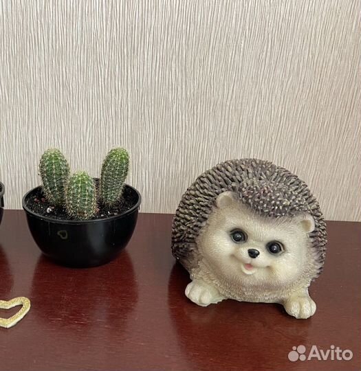 Кактусы в горшочках по 3 шт